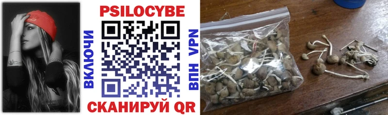 Галлюциногенные грибы Psilocybine cubensis Купить где Муравленко